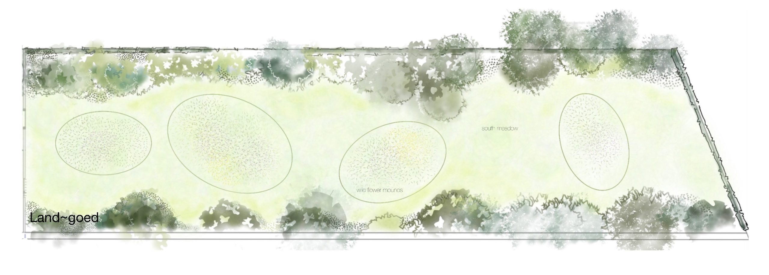 Gardendesign large garden wildflower meadow tuinontwerp villatuin landelijke tuin Tuinen van Thomas Caroline Thomas