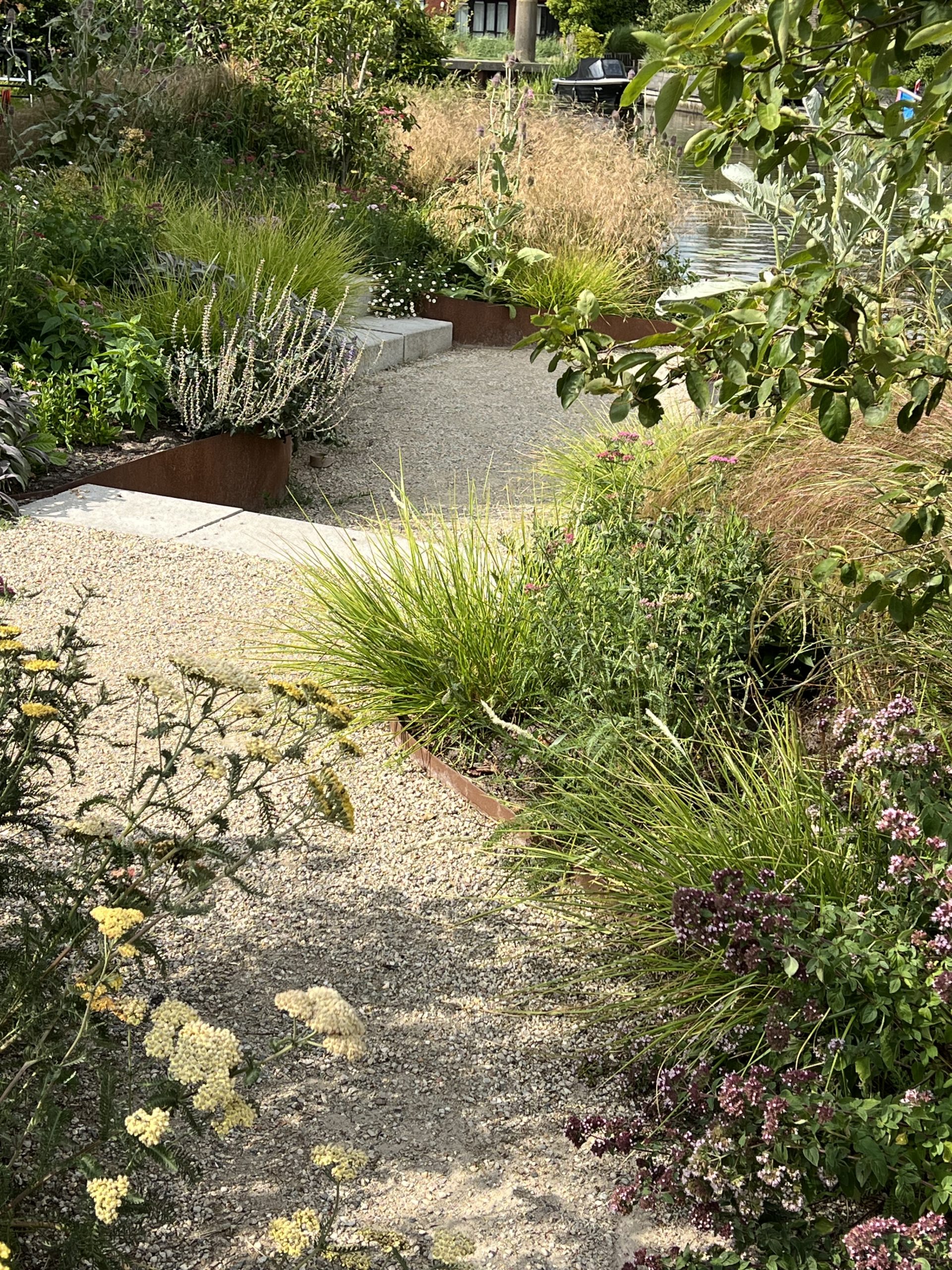 Naturalistic planting design garden Friesland