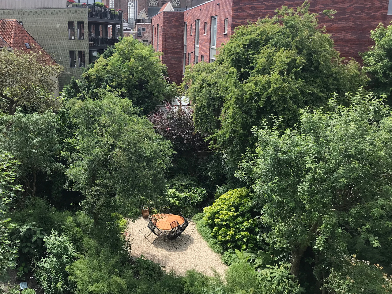 verborgen stadstuin groene tuin kleine tuin binnentuin natuurlijke tuin quiet city garden Groningen tuinontwerp Tuinen van Thomas Caroline Thomas