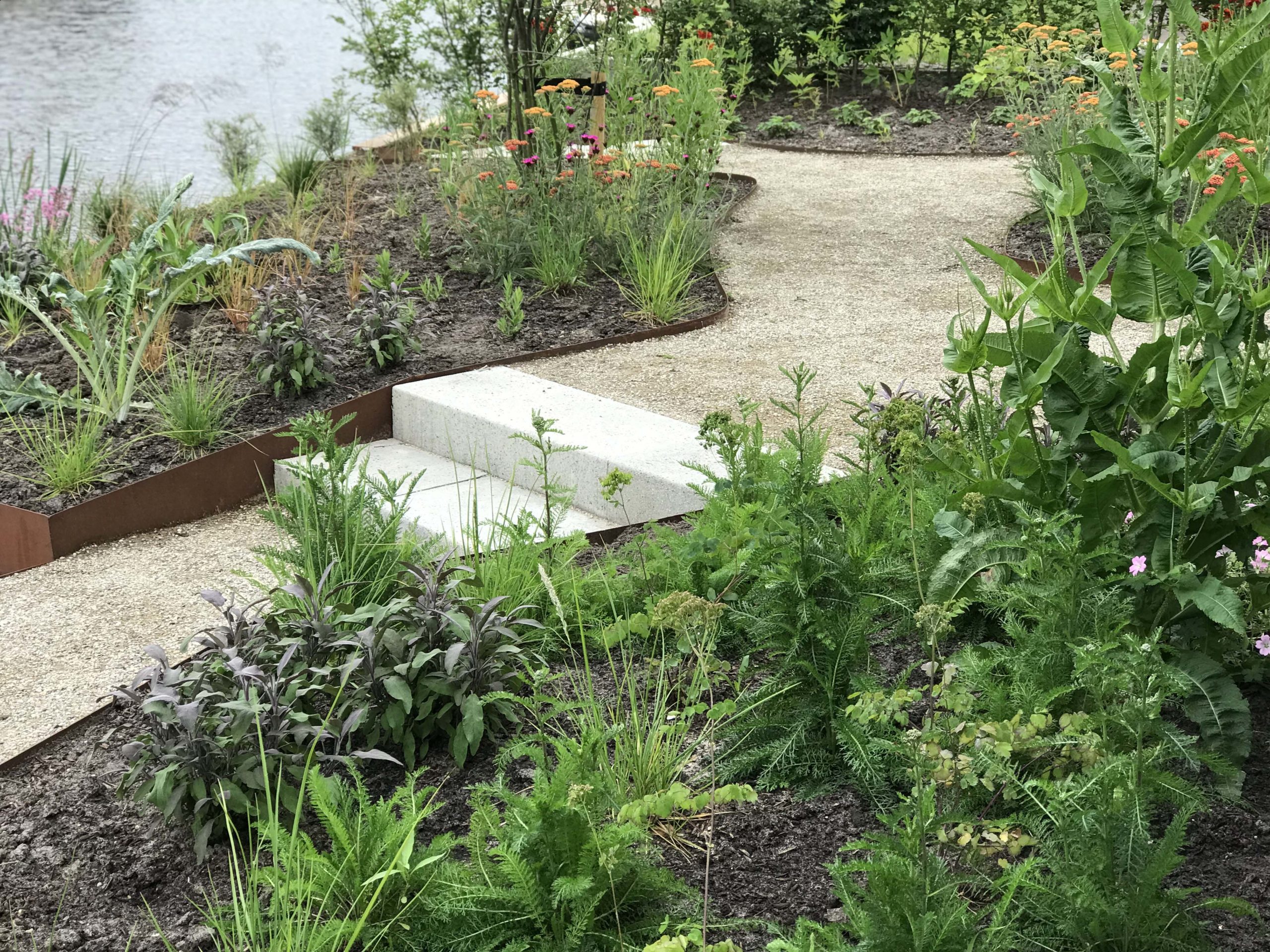 Tuinen van Thomas tuinontwerp tuin aan het water Caroline Thomas Schellevis tredes Komex-mix paden borderrand cortenstaal