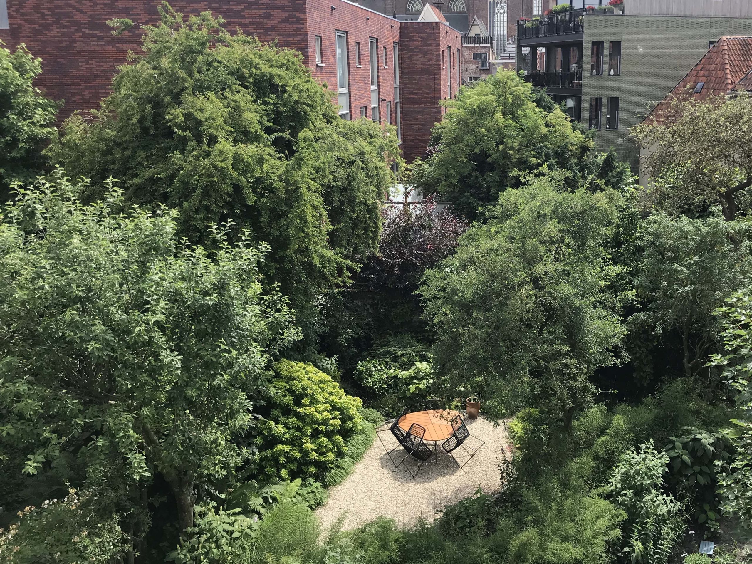 verborgen stadstuin bijzondere tuin kleine tuin binnentuin natuurlijke tuin quiet city garden Groningen tuinontwerp Tuinen van Thomas Caroline Thomas