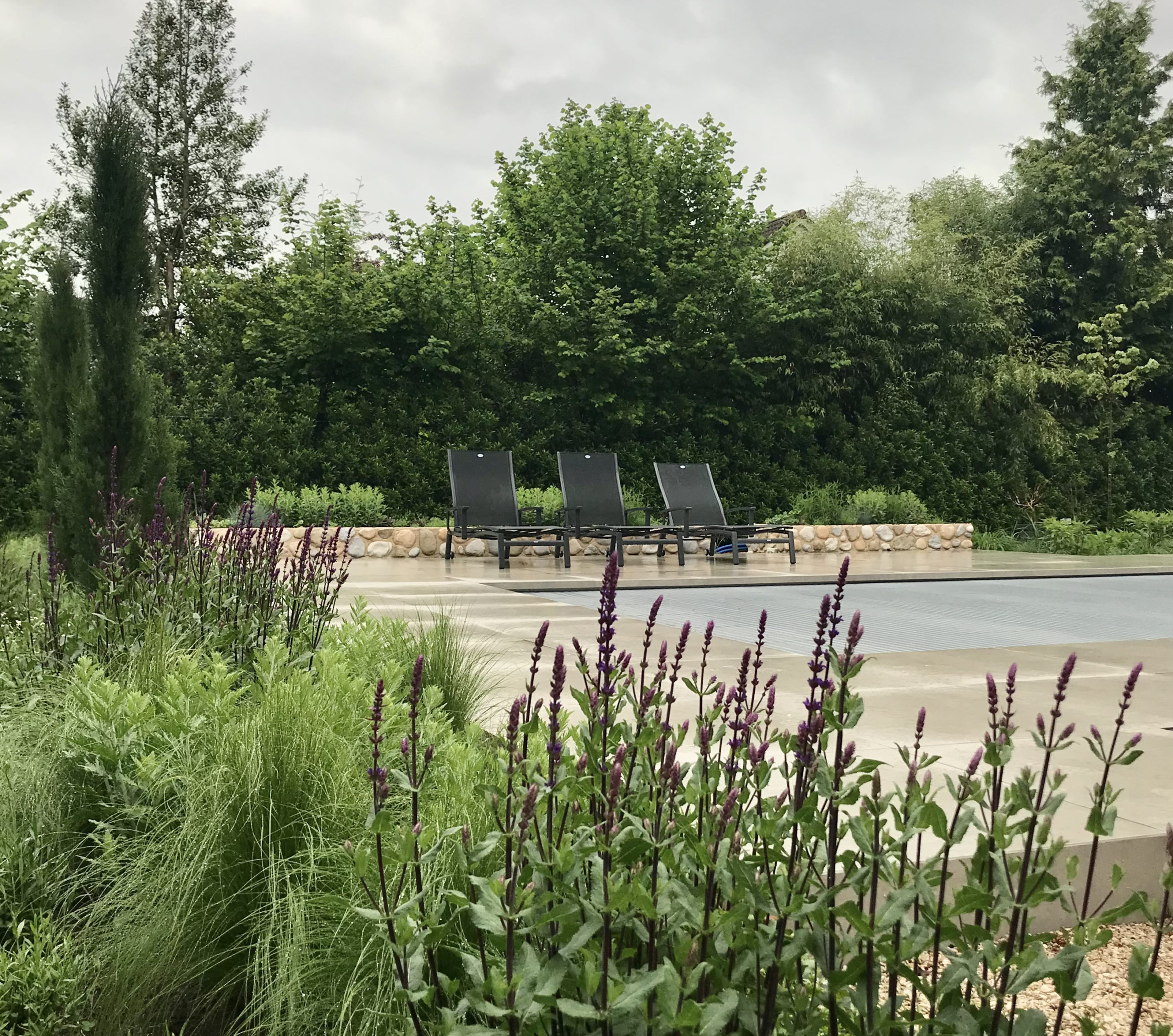 Grote tuin met zwembad mediterrane sfeertuin