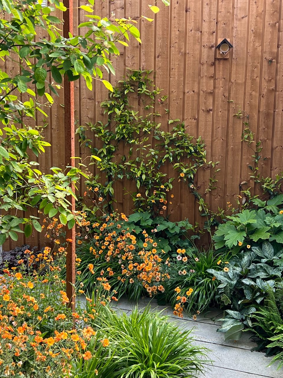 mini tuin met kleurige beplanting