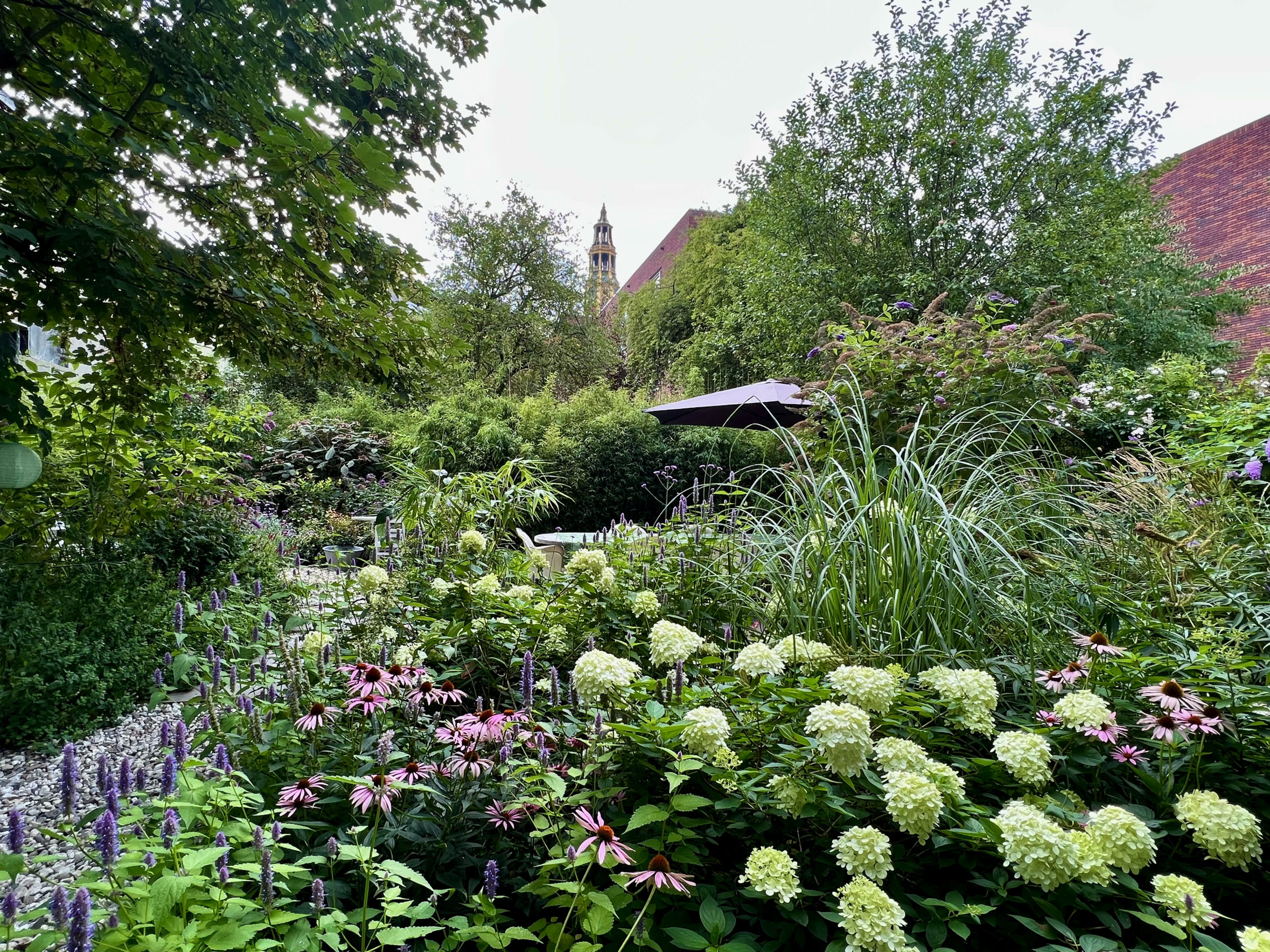 verborgen stadstuin groene tuin kleine tuin binnentuin natuurlijke tuin quiet city garden Groningen tuinontwerp Tuinen van Thomas Caroline Thomas
